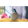 Philips DST2030/90 Steam Iron - 2000W, Non-Stick Soleplate, 270ml Tank