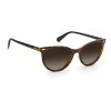 Polaroid PLD4107S086F2 Women's Square Sunglasses - Havana Frame Brown Gradient Lens