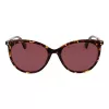 POLAROID PLD6231S55086 Women's Cat Eye Sunglasses - Havana Frame, Brown Polarized Lenses, UV400