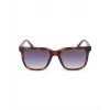 POLICE Men's SPLN34M540878 Sunglasses Havana Acetate Frame Brown Lens 54mm