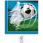 PROCOS Football Party 2-Ply Paper Napkins 20-Pack 33x33 cm Green/White/Black (93747)