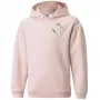 PUMA Alpha Hoodie FL Youth Sweatshirt Light Pink Size 164