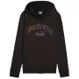 PUMA Essentials+ Logo LAB Men's Fleece Hoodie Black Size M