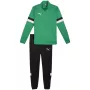 PUMA Men's Team Rise Tracksuit Forest Night / Puma Black Size M