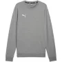 Puma Team Goal Casuals Crew Neck Sweat Grey 658592 33 M