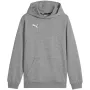 PUMA Team Goal Casuals Hoody Sweatshirt Grey 140cm