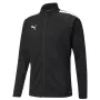 PUMA teamLIGA Training Men's Long Sleeve 1/4 Zip Top Black L