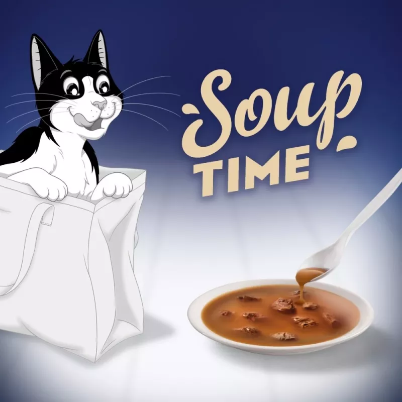 PURINA FELIX Soup Original Country Flavours 6x48g Wet Cat Food