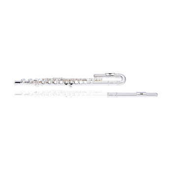 Stagg WS-FL221S silver-plated C flute, straight and curved headjoints, soft case