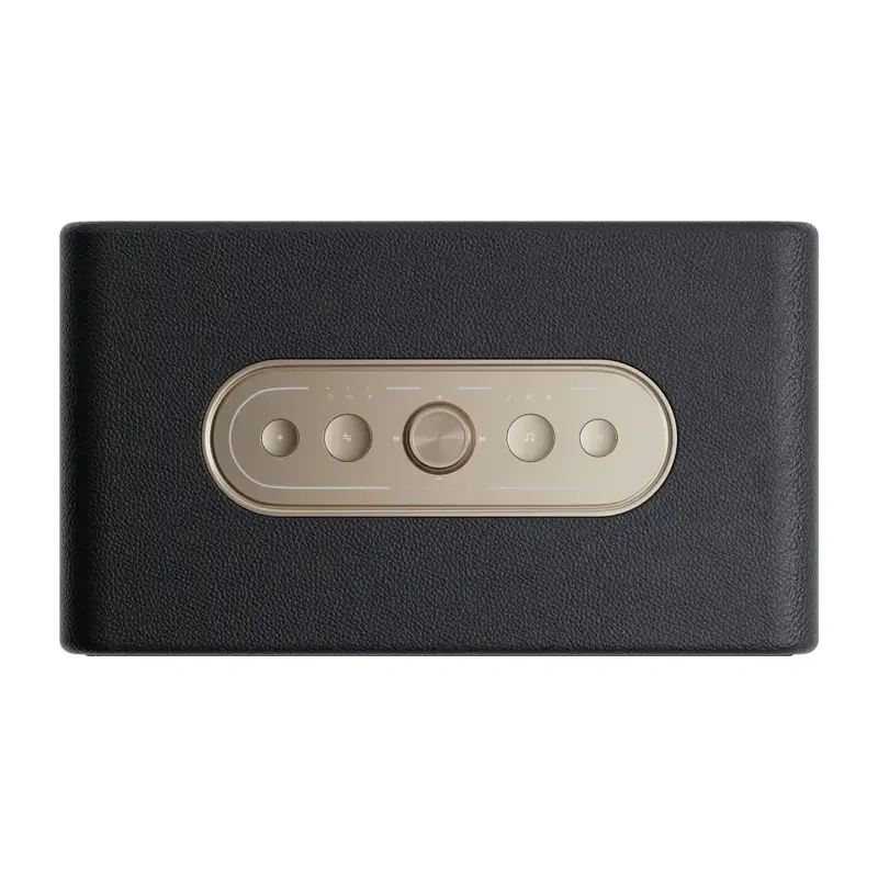 QCY SP300 Wireless Speaker (Black)