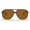 Ray-Ban Bill RB2198 Sunglasses Tortoise Havana Brown Classic B-15 60mm Unisex