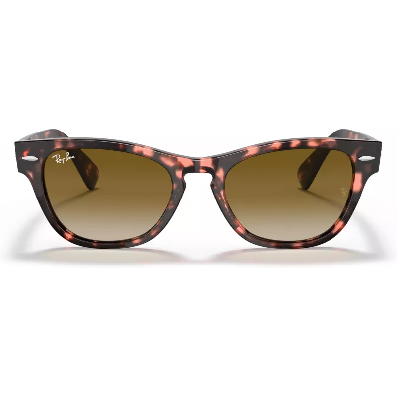 Ray-Ban Frank Square Sunglasses RB2201 133451 54/17/145 mm