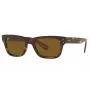 Ray-Ban Frank Unisex Sunglasses RB22839543355 Havana Brown 52mm