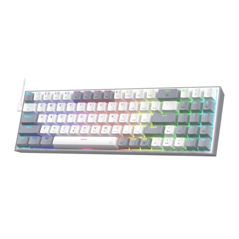 REDRAGON Pollux 65% Wired Mechanical Gaming Keyboard, Hot-Swappable Red Switches, RGB Backlight, Detachable USB-C, NKRO, Black