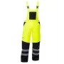 REFLECT Winter Pants Ardon Howard Bib L