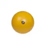 REHA FUND PILO-1045 Rehabilitation Ball ABS 65 cm Silver/Grey