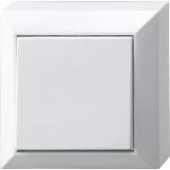 REV Complete Switch, Two-Way Switch White 0511472777