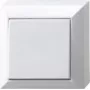 REV Complete Switch, Two-Way Switch White 0511472777