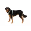 Ruffwear Front Range Harness XS - River Rock Green
