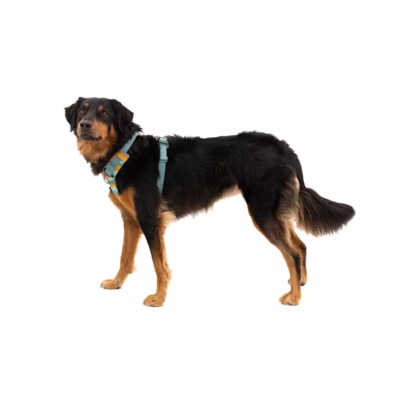 Ruffwear Front Range Harness XS - River Rock Green