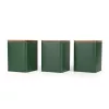 Salter BW12898G Toronto 3-Piece Canister Set, Green