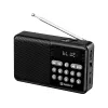 SANDBERG Speaker Radio FM+BT Recharge Portable Bluetooth Speaker with FM Radio, AUX, USB, MicroSD, 6W, Black