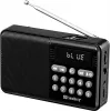 SANDBERG Speaker Radio FM+BT Recharge Portable Bluetooth Speaker with FM Radio, AUX, USB, MicroSD, 6W, Black