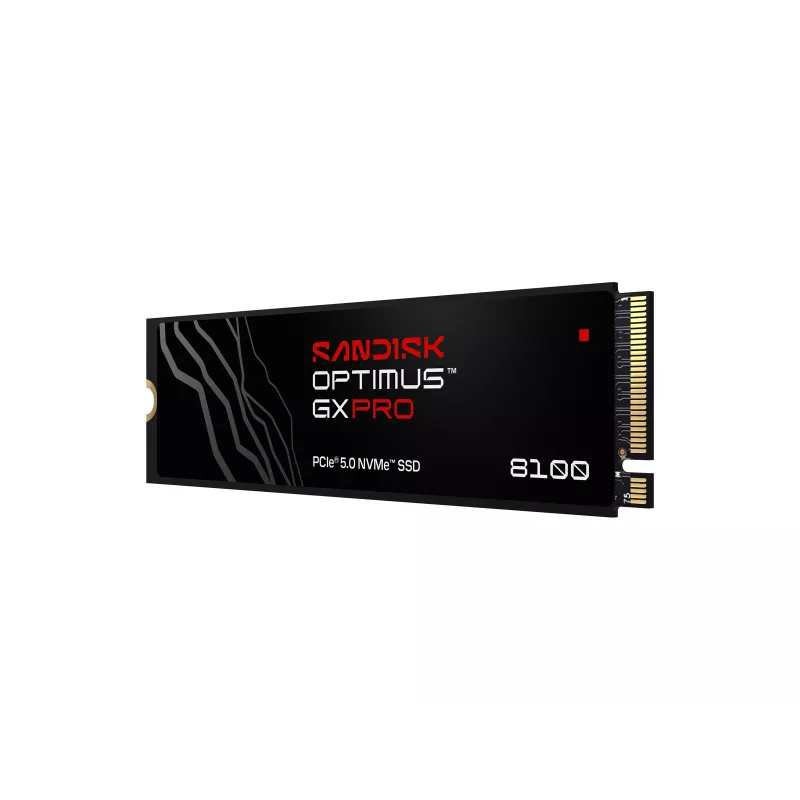 SanDisk Internal SSD Optimus GX PRO 8100, 4TB (00233410)