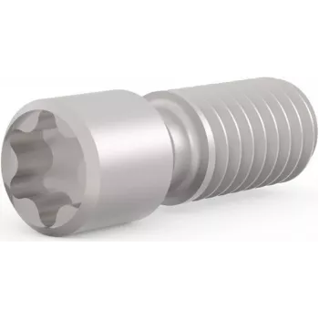 SCHROFF Set Screw M2.5 x 9 mm Torx T8, Steel, 100 pcs (21102980)