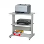 SECOMP Roline Printer Stand on Castors, Grey/White/Light Grey, 2 Shelves, 500x400x600 mm 17.01.1089