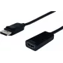 SECOMP STANDARD DisplayPort to HDMI Adapter, v1.2, DP Male to HDMI Female (S3204)