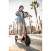 Segway Ninebot eKickscooter D38E Black Red