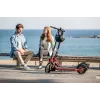 Segway Ninebot eKickscooter D38E Black Red