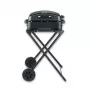 Severin PG 8598 Electric BBQ Grill with Stand 2500 W Chrome Grid 1000 cm²
