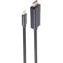 SHIVERPEAKS BASIC-S USB-C to DisplayPort Cable 1m 8K60Hz Black (BS10-61045)