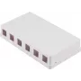 SHIVERPEAKS Keystone Surface Mount Box, 6-Port, White (BS08-10118)