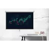 Spacetronik 100 inch Manual Pull-Down Projector Screen 16:9