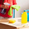 Spin Master Melissa & Doug Cleaning Set