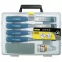 Stanley 5002 Series 6-Piece Wood Chisel Set in Plastic Case