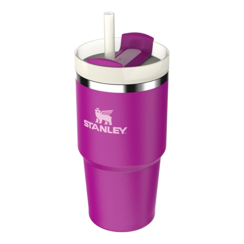 STANLEY The Quencher H2.O FlowState Tumbler with Straw 0.59L Purple