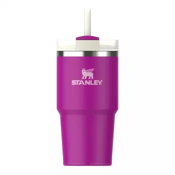 STANLEY The Quencher H2.O FlowState Tumbler with Straw 0.59L Purple