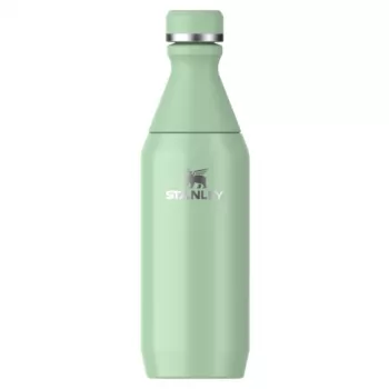 STANLEY Thermos The All Day Slim Bottle 0.35L Glossy Pistachio
