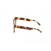 Sunglasses WEB EYEWEAR Man WE0315-0041F (Lens/Bridge/Temple) 00/0/145 mm