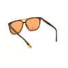 Sunglasses WEB EYEWEAR Unisex WE0263-5956J Square Havana Acetate Frame Green Polycarbonate Lens 59/13/145 mm UV400