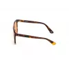 Sunglasses WEB EYEWEAR Unisex WE0263-5956J Square Havana Acetate Frame Green Polycarbonate Lens 59/13/145 mm UV400
