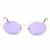 Sunglasses WEB EYEWEAR Woman WE0255-33Y Cat Eye Havana Brown Gradient 51mm