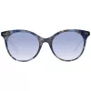 Sunglasses WEB EYEWEAR Woman WE0277-5255W Cat Eye Havana Brown 52/19/140 mm