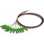 SYNERGY21 S215560 Fiber Optic Patch Cable Set 2 m OS2 E-2000 (LSH) Multicolored 12-Pack