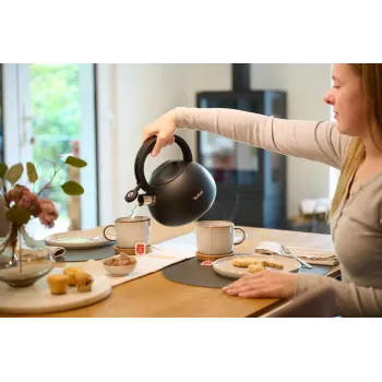 Tefal N4180410 Express Control Stainless Steel Kettle 2.5 L Induction Silver/Black