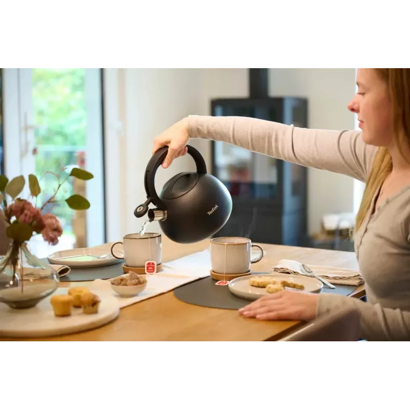 Tefal N4180410 Express Control Stainless Steel Kettle 2.5 L Induction Silver/Black